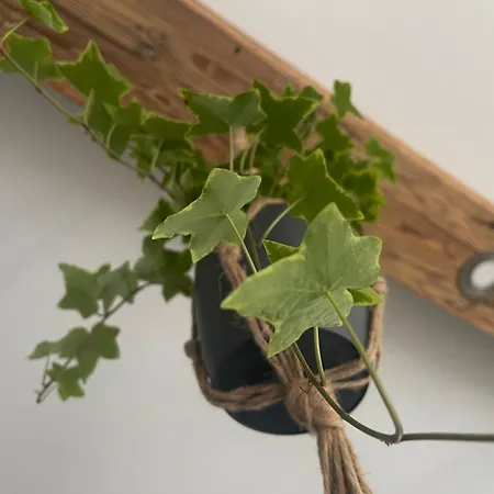 בית נופש Residences Am Tor Zur Suedsteirischen Weinstrasse *