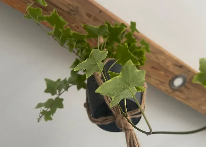 بيت للعطل Residences Am Tor Zur Suedsteirischen Weinstrasse *